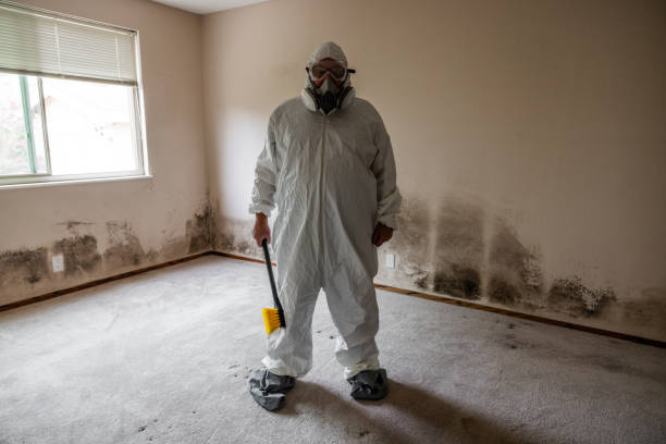 Professional Mold Remediation in Missouri Valley, IA